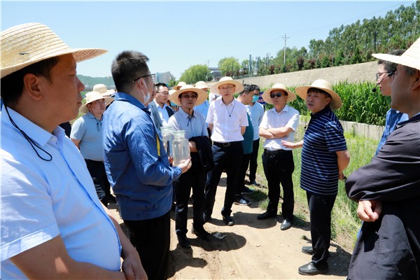 陕西环保集团复工复产促增长项目观摩会议与会人员走进环保保隆生态三秦在延在铜项目