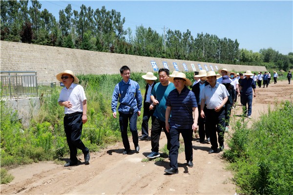 陕西环保集团复工复产促增长项目观摩会议与会人员走进环保保隆生态三秦在延在铜项目