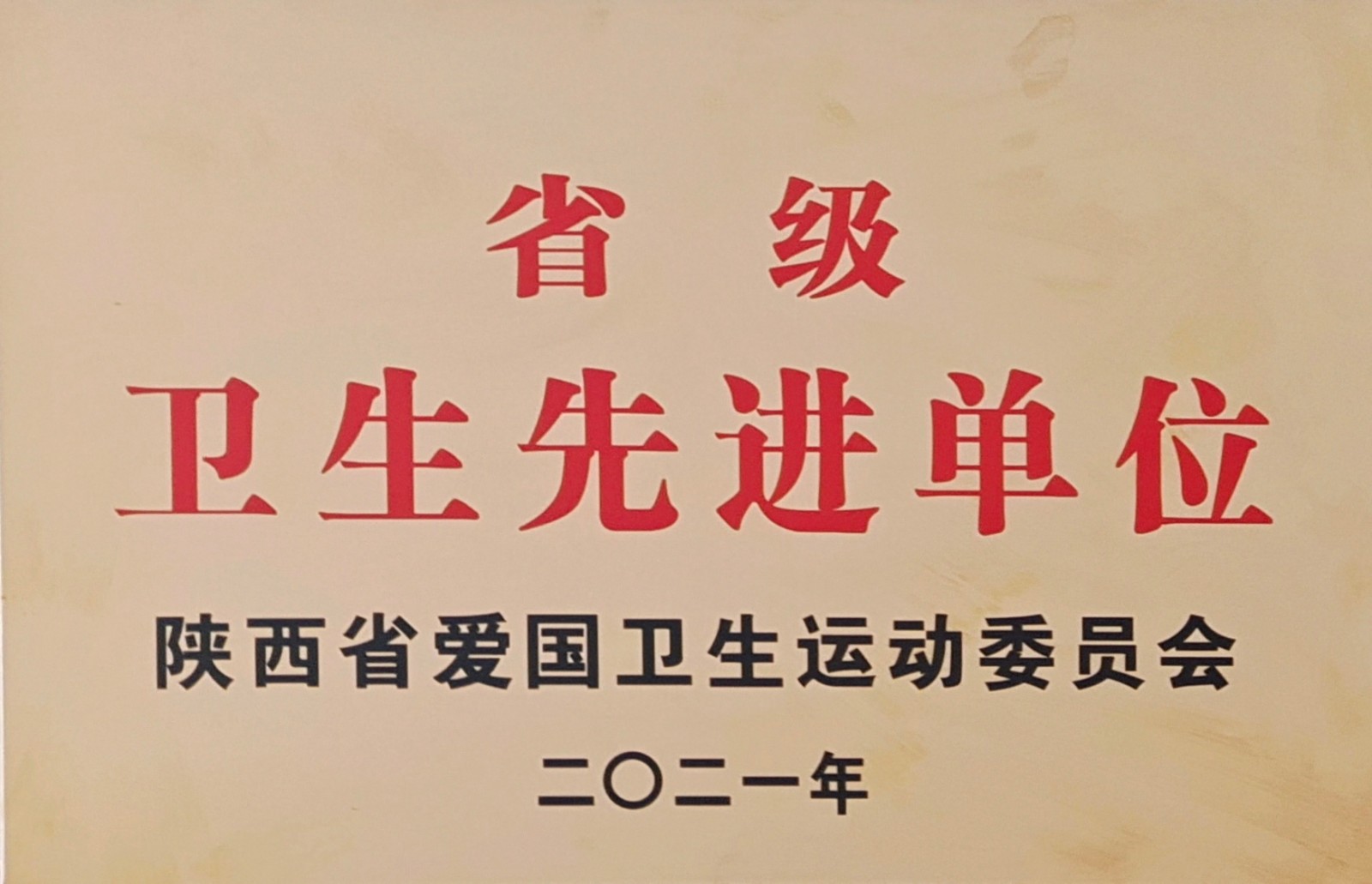 水环境公司镇安污水处理厂荣获“省级卫生先进单位”荣誉称号